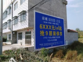 北流墙体广告质量分析