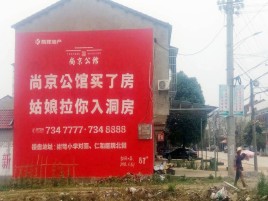 北流墙体广告在乡镇、农村市场的媒体优势